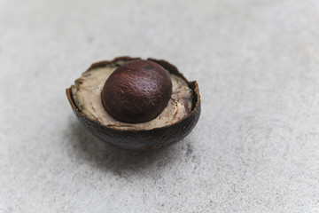 Avocado
