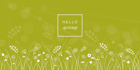Hello spring banner with flower meadow line border on blurred light green background.