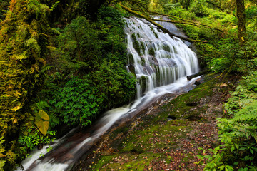 Fototapeta na wymiar Waterfall in doi-inthanon national park, Chiangmai Thailand