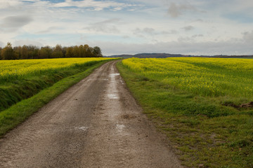 Fototapeta na wymiar road countryside spring