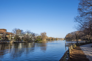 Obraz premium 石神井公園