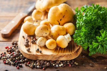 Fototapeta premium mushrooms on a board, selective focus