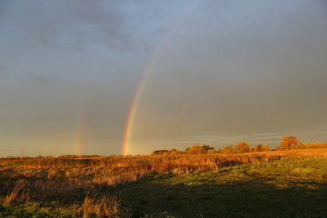 Fototapeta na wymiar Regenbogen über der Oder
