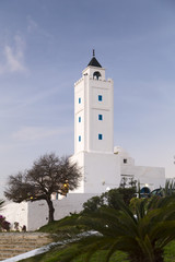 Typical Tunisian, Arabian, Mediterranean architecture in Sidi Bou Said, famous touristic town near Tunis, Tunisian capital.North African Mediterranean coast.