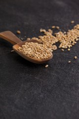 Scoop of wheat grains