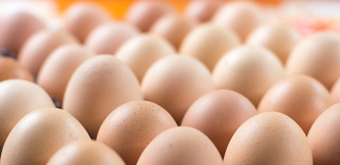 Chicken Eggs.