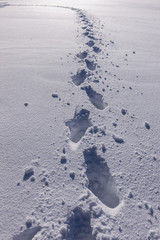 Foot prints in the snow.