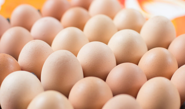 Chicken Eggs.