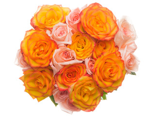 Naklejka premium beautiful roses on a white background