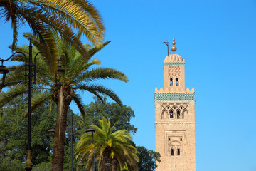 Fototapeta na wymiar Palmtrees and a mosque in Marrakesh, Morocco