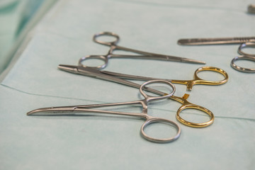 Le v&eacute;t&eacute;rinaire chirurgien op&egrave;re une chatte, anesth&eacute;sie g&eacute;n&eacute;rale.