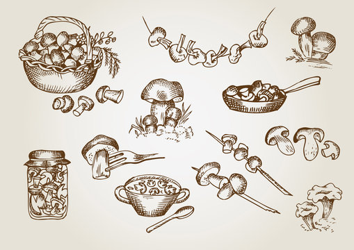 Mushrooms graphics outline. Vector set