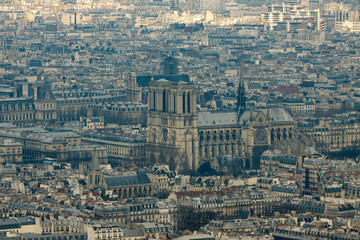 View from top on Notre Dame de Paris