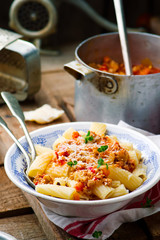 Pasta in a Chicken Sauce.