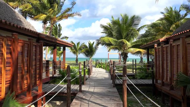Types of the Cayo Levisa Island. Cuba. 