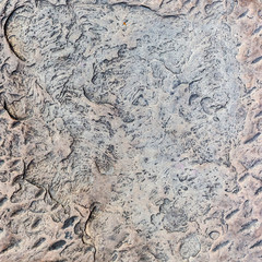 background texture from stone surface