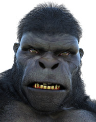 angry gorilla © DM7
