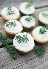 Sweet Nature Cupcakes