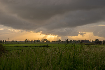 Fototapeta na wymiar evening sky on field