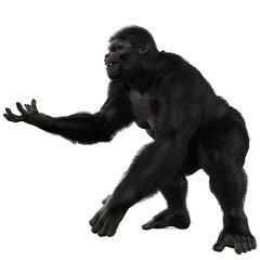 gorilla give it to me