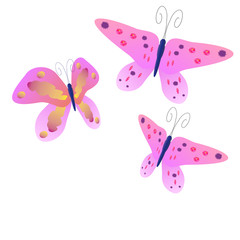 beautiful butterflies, isolated on a white