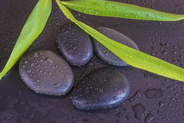 Fototapeta na wymiar spa concept/massage stones and bamboo leaves with water drops on wet slate background top view