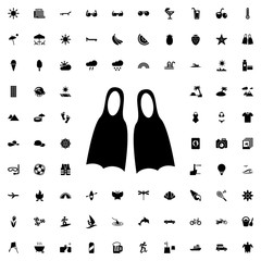 flippers icon illustration © HN Works