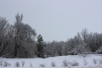 Winter Landscape in Quebec
