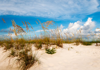 Sand dunes near Gulf Shores Alabama with sea oats and blue sky