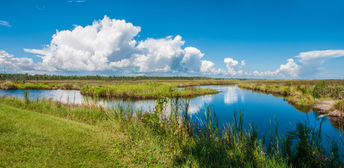 Panorama of canals in Gulf Shores State Park in Alabama USA with reflections of sky on water - obrazy, fototapety, plakaty