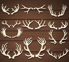 Set of deer antlers on the wooden rustic wooden