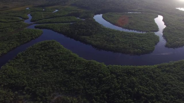 Aerial View of Amazon Rainforest, Brazil