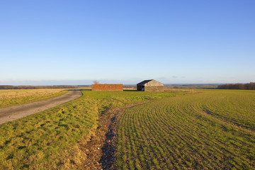 farm buildings and wheat