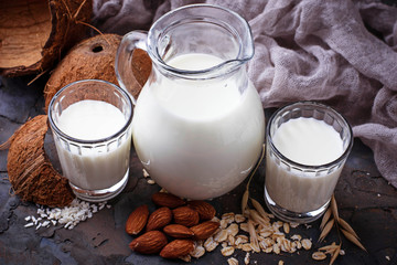 Different types of vegan lactose-free milk