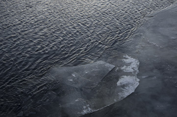 Thin layer of ice breaking off from a larger ice sheet