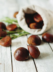 Fresh chestnuts in  in sack bag