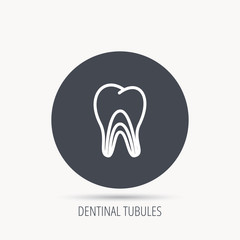 Dentinal tubules icon. Tooth medicine sign. Round web button with flat icon. Vector