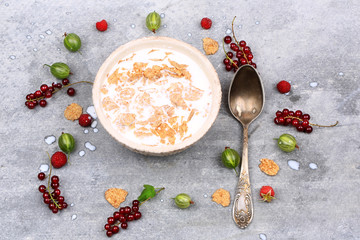 Fototapeta na wymiar breakfast cereal with berries and milk