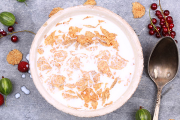 breakfast cereal with berries and milk