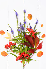 Fototapeta na wymiar Autumn decoration of the berries and flowers on white wooden background view from above