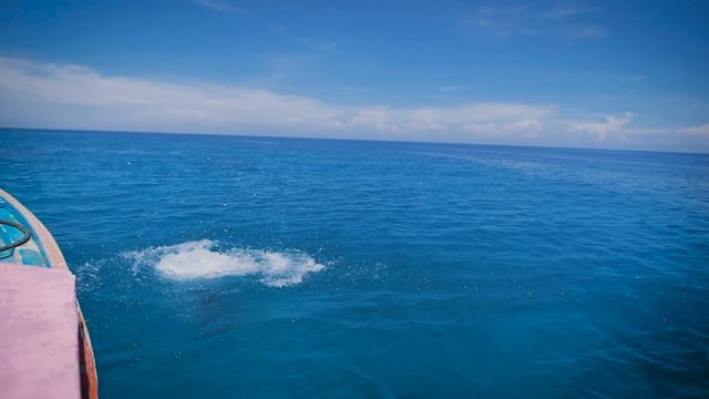 Young sexy courageous girl in black bikini and white chemise jumping overboard into open ocean. Beautiful female traveler diving in turquoise sea from the deck of pleasure yacht during marine cruise.
