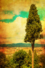 vintage style picture of a pine tree in front of the cityscape of Florence, Italy