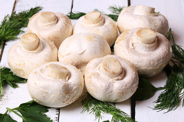 champignons and fennel on a white wooden background