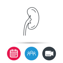 Kidney icon. Transplantation organ sign. Nephrology symbol. Group of people, video cam and calendar icons. Vector