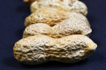 Paddy peanuts   /   Paddy  peanuts in the row. Focus is on the first one.