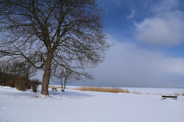 Ralswiek im Winterschlaf