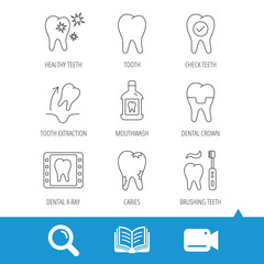Tooth, dental crown and mouthwash icons. Caries, tooth extraction and hygiene linear signs. Brushing teeth flat line icon. Video cam, book and magnifier search icons. Vector