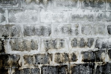 Old concrete wall. Cement wall