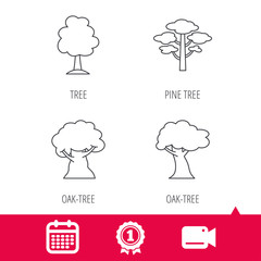 Achievement and video cam signs. Pine tree, oak-tree icons. Forest trees linear sign. Calendar icon. Vector