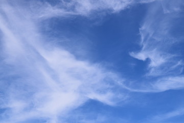 Wispy Clouds